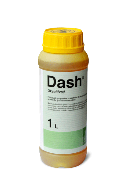 Dash 1/1