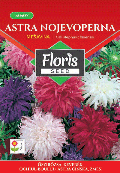 Floris cvece astra nojevoperna,mix 0,5g 50507