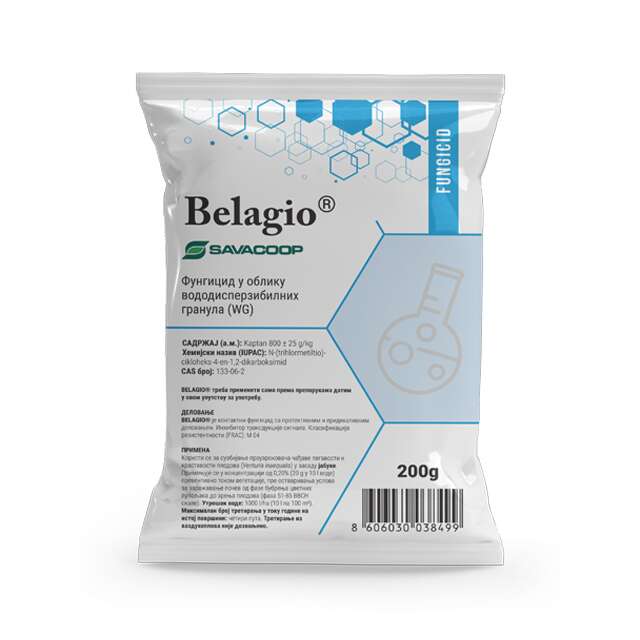 Belagio wg