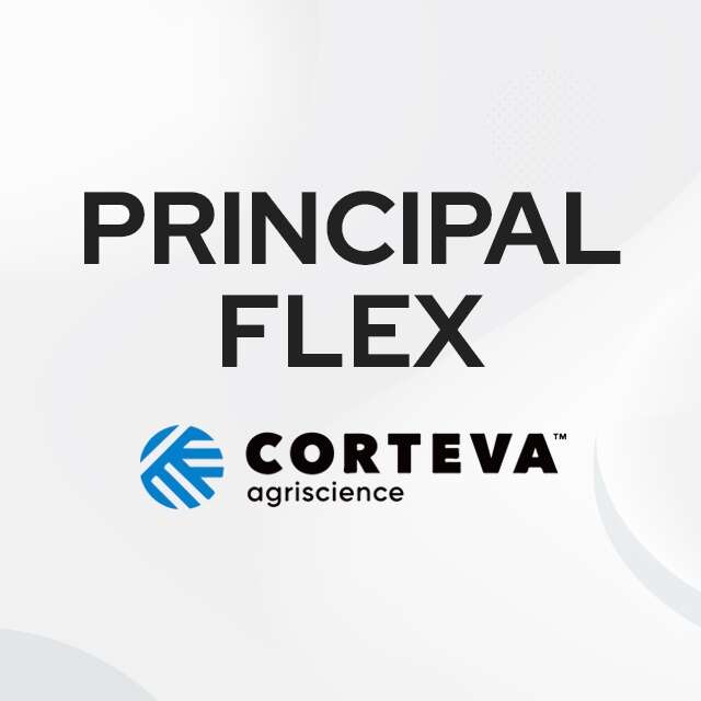 Principal flex 480g