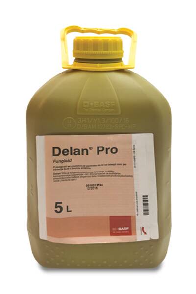 Delan pro