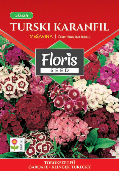 Floris cvece turski karanfil,mix 0,5g 50524